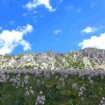 Panorama montano