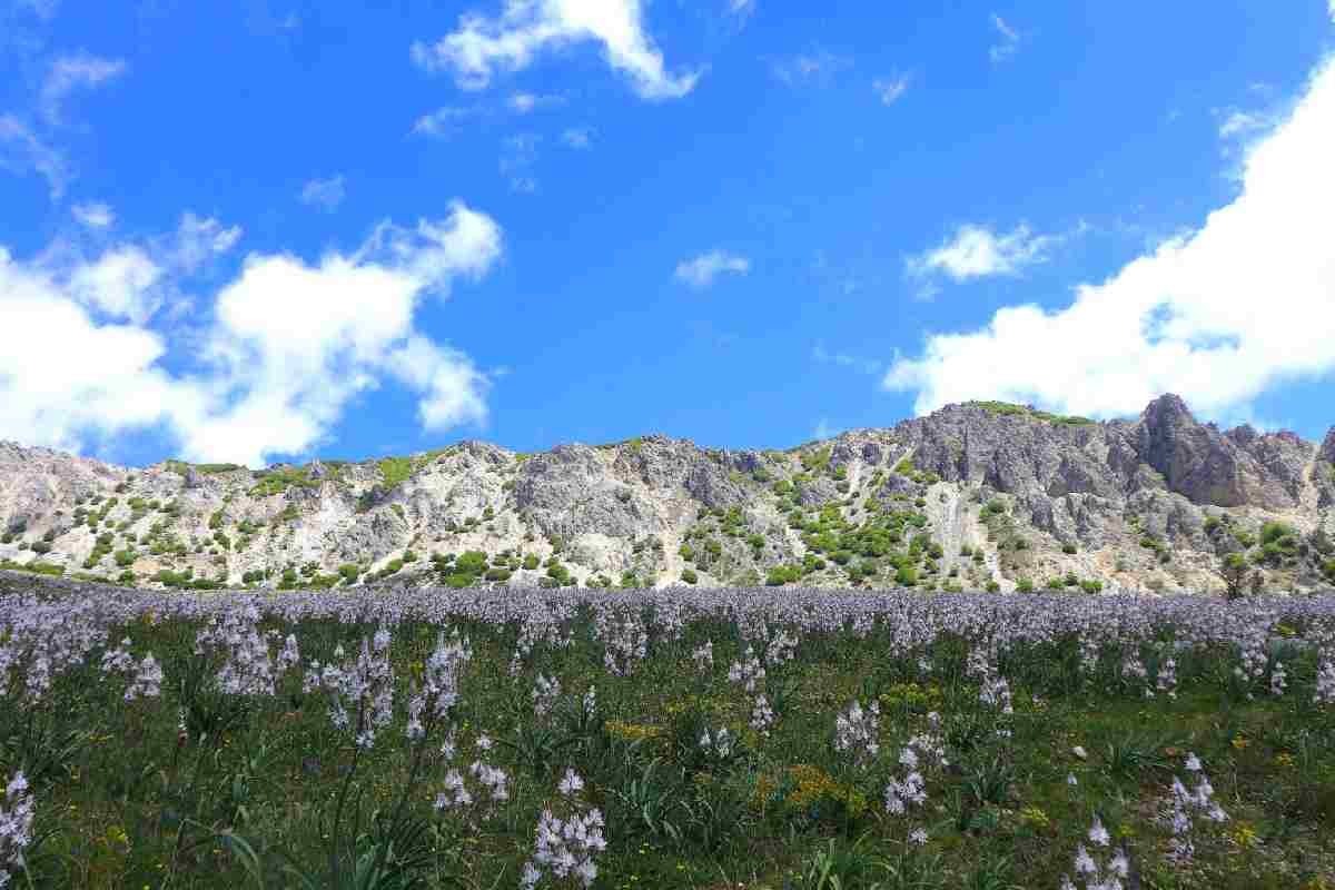 Panorama montano