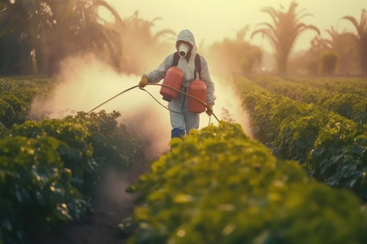 Questa è la verdura maggiormente contaminata dai pesticidi
