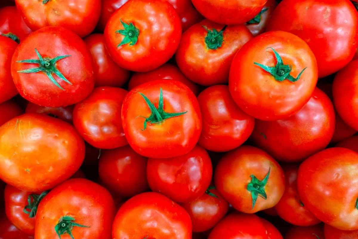 Pomodori in esaurimento: la minaccia globale al gusto Made in Italy