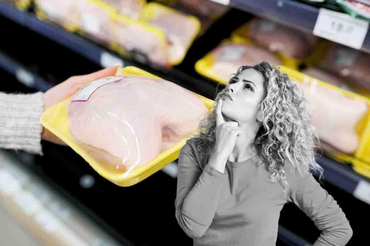 pollo supermercato animale affetto grave malattia