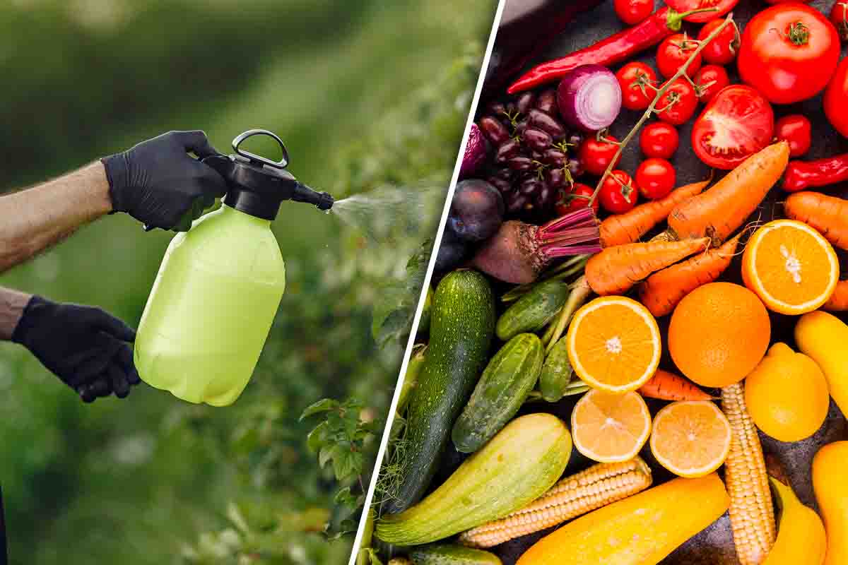 Tester Nitrati 6-in-1 Per Alimenti - Rilevatore Di Pesticidi In Frutta, Verdura E Carne - Foto 5