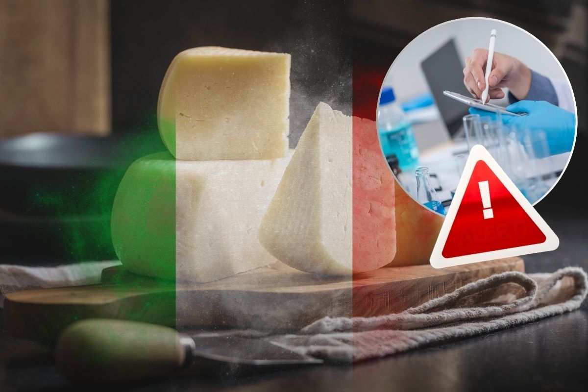 Analisi sui formaggi italiani: scoperte tracce di medicinali in alcuni campioni
