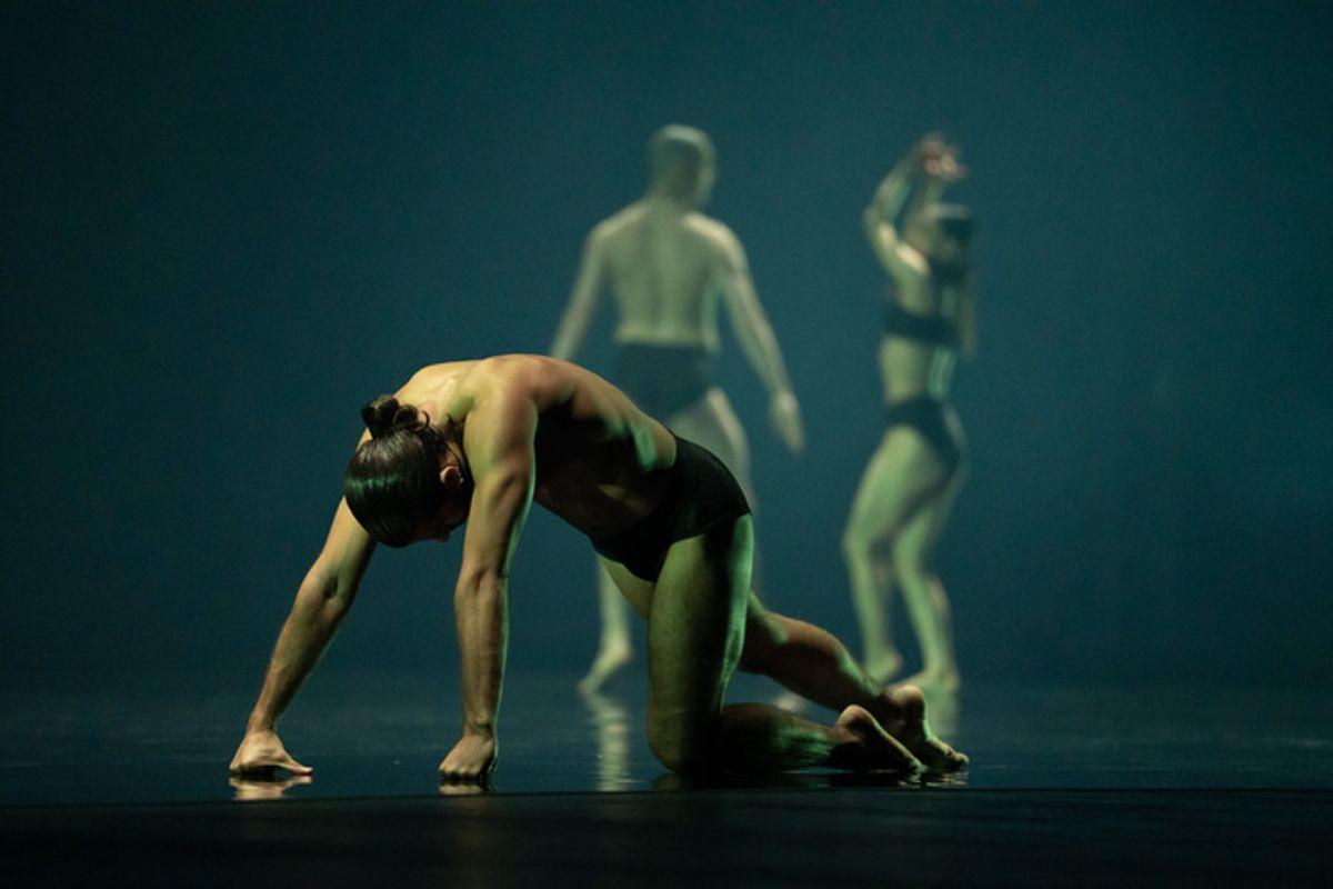 Esplorando i misteri degli abissi con 'Deepstaria' di Wayne McGregor a Modena