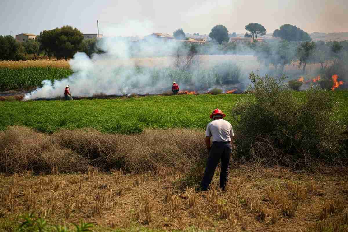 Fiamme nel Palermitano: un agricoltore provoca un incendio durante la pulizia dei terreni