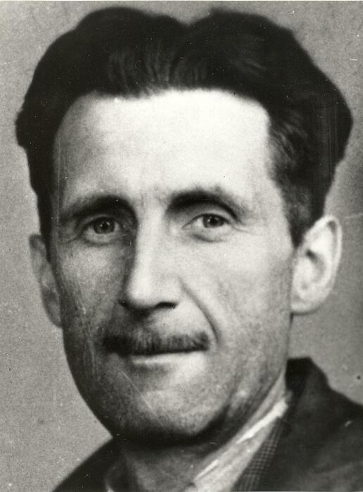 La florida dei libri proibiti: da orwell a vonnegut, un viaggio tra le pagine censurate