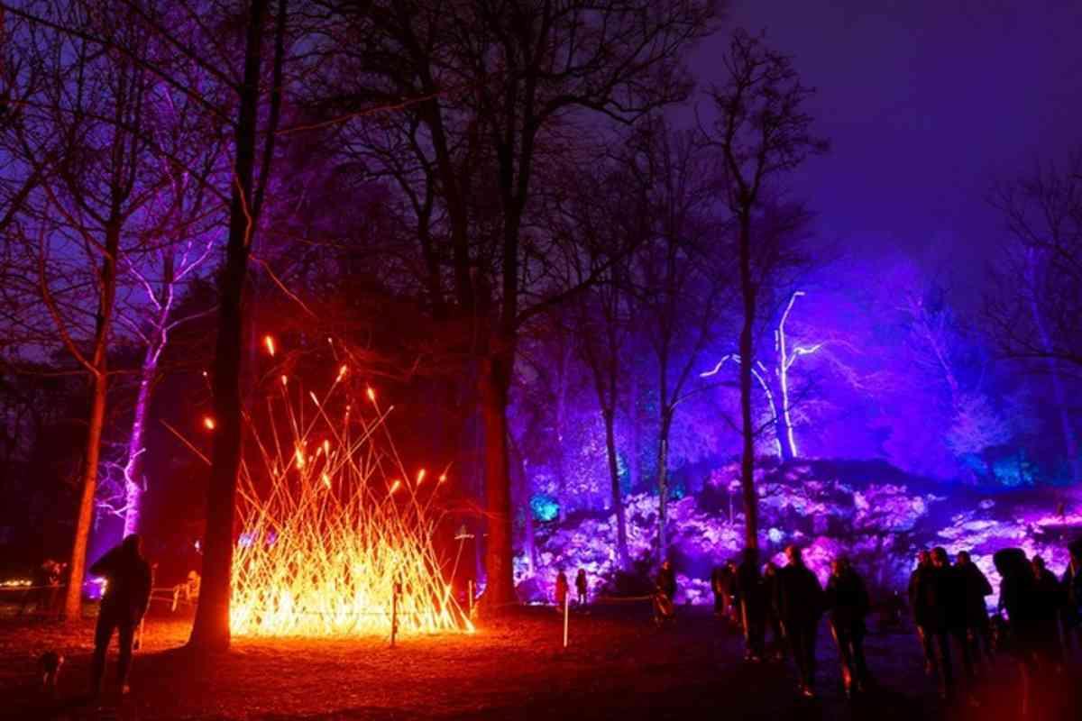 Magia luminosa: come l'arte trasforma il natale