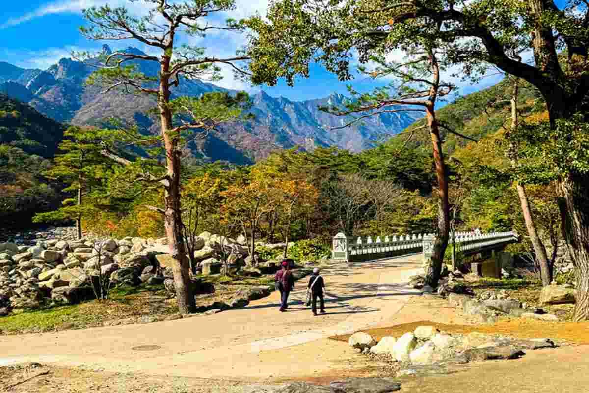 Scopri la magia dell'autunno in Corea del Sud: un tour tra i colori della penisola