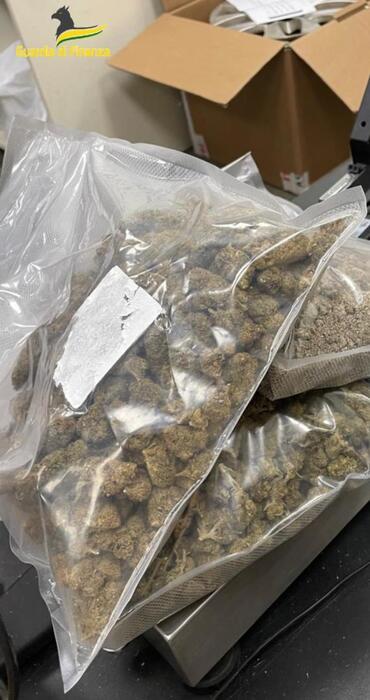 Spedizione rischiosa: tentativo di contrabbando di marijuana in Svezia