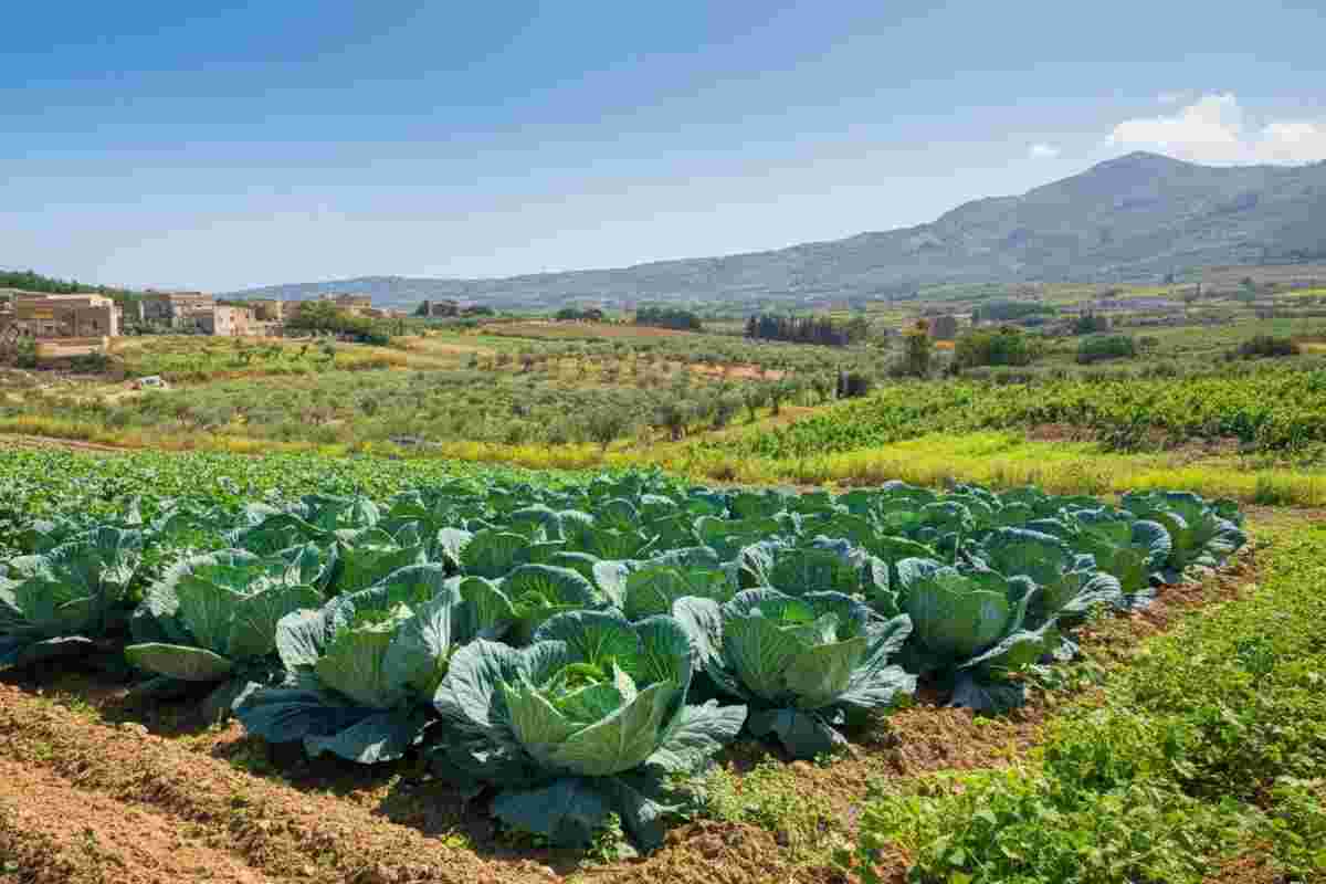 Tragedia a Siracusa: giovane di 27 anni perde la vita in un incidente sul lavoro