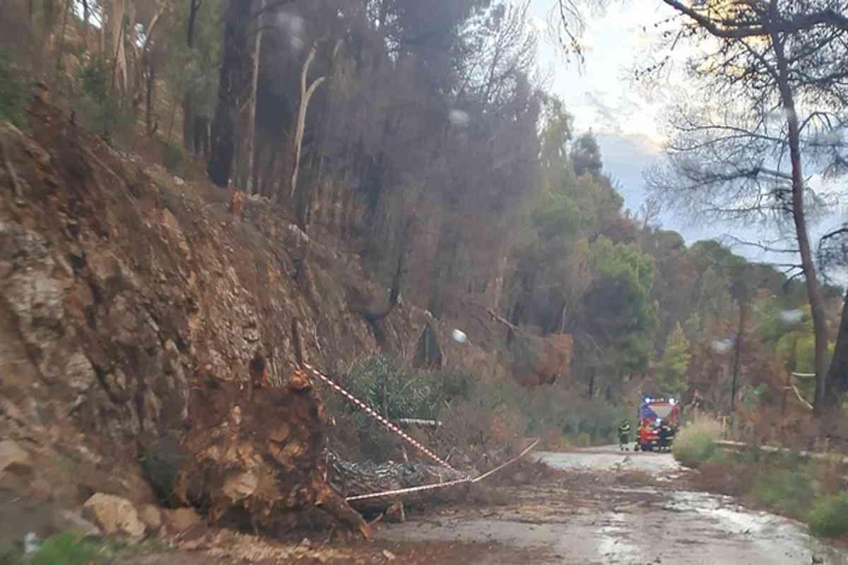 Disastro nel palermitano: frane e alberi abbattuti dal maltempo