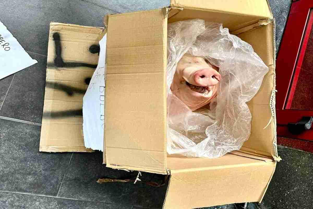 Quattro arresti per estorsioni di stampo mafioso: colpo alla criminalità organizzata