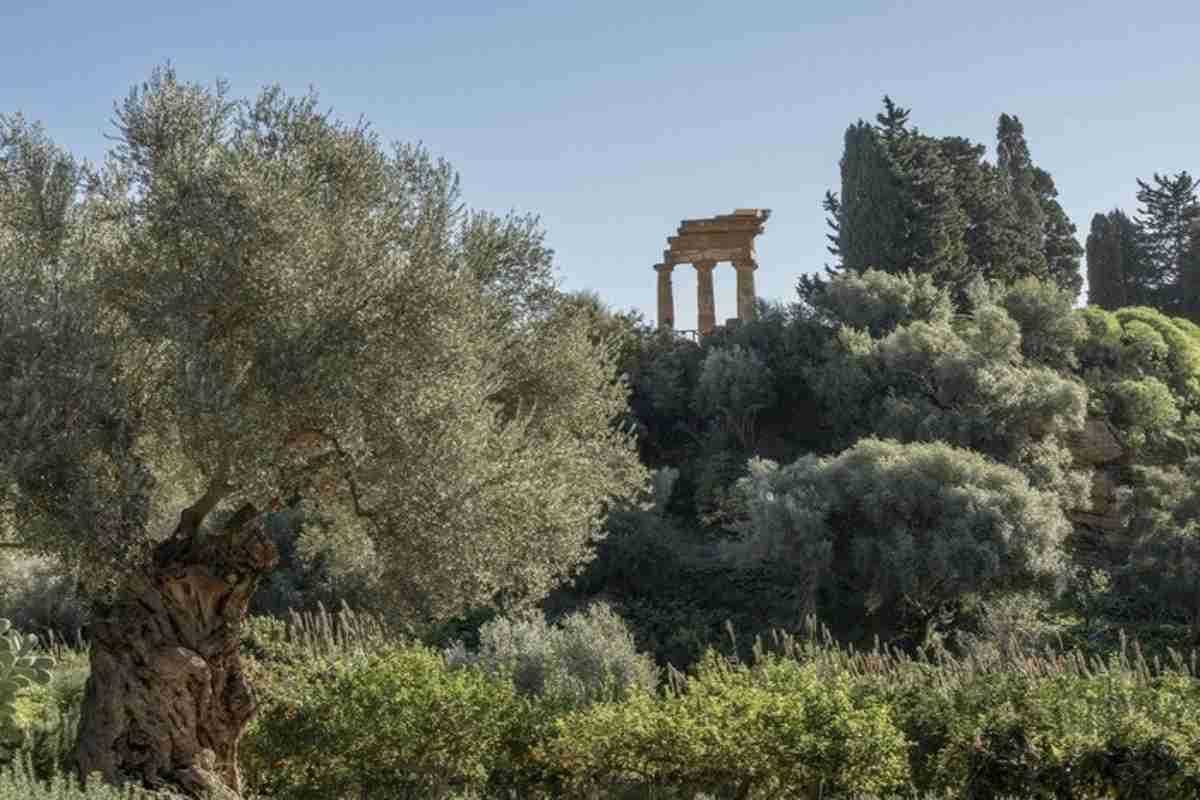 Fai si impegna a preservare il giardino della kolymbetra nella valle dei templi