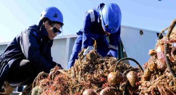Fondali siracusani tornano a vivere: liberazione da reti abbandonate