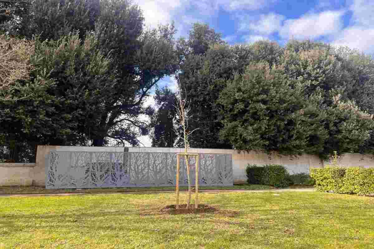 Nuovi alberi arricchiscono la bellezza della reggia di caserta