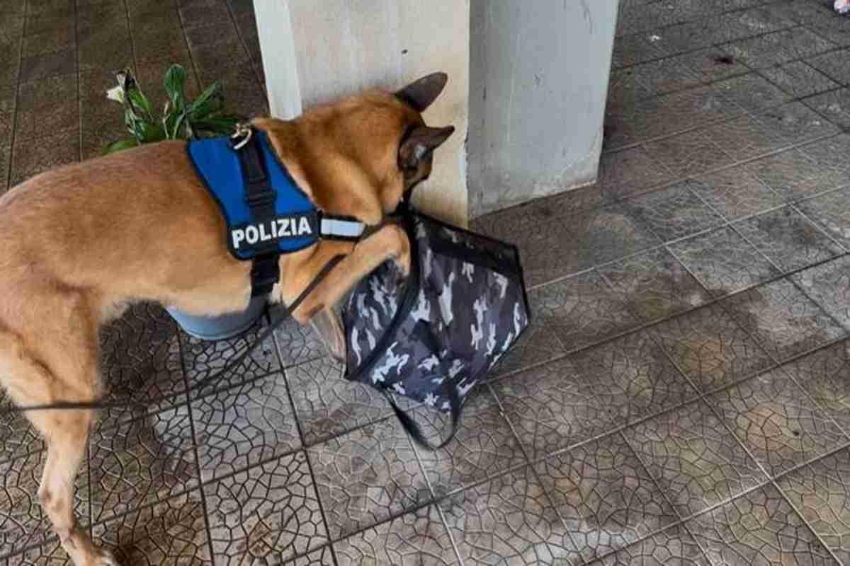 Scoperta shock a catania: garage trasformato in magazzino di armi e droga
