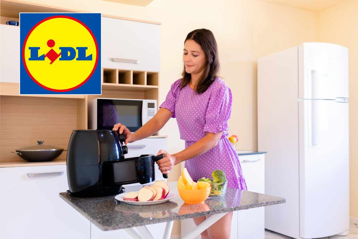 lidl offerta friggitrice ad aria